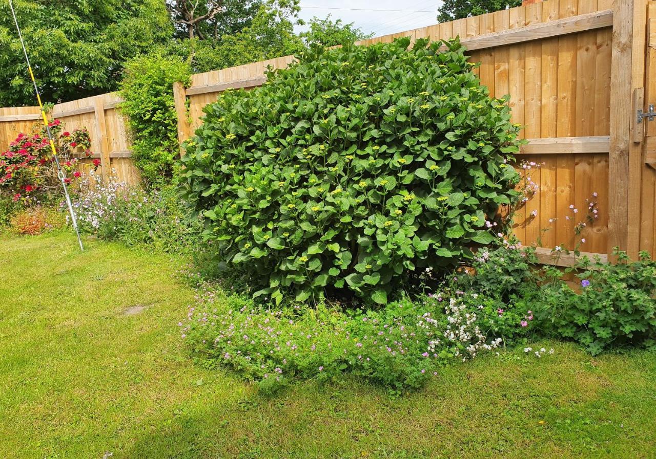 Forest Farm Papplewick Nottingham - Spacious Self-Contained Rural Retreat! מראה חיצוני תמונה