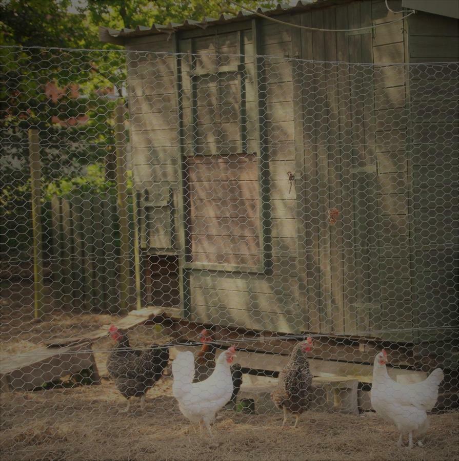 Forest Farm Papplewick Nottingham - Spacious Self-Contained Rural Retreat! מראה חיצוני תמונה